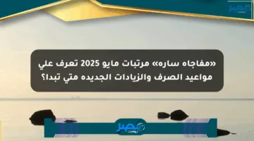 «مفاجأة سارة» مرتبات مايو 2025 تعرف على مواعيد الصرف والزيادات الجديدة متى تبدأ؟